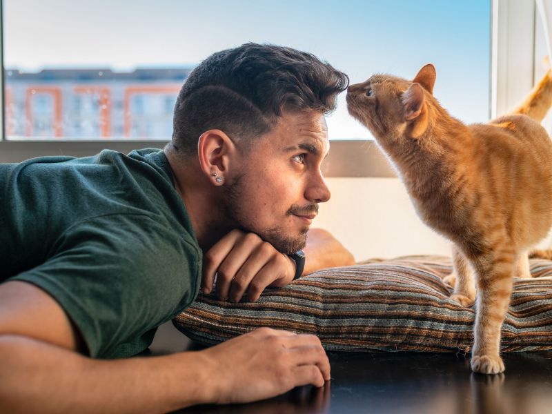 Jak kočky vnímají svět a jaký mají vztah k lidem ?