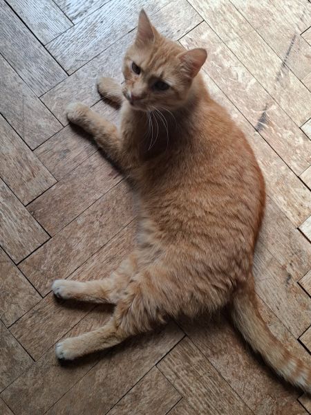 Ferdinand