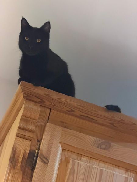 Lucifer
