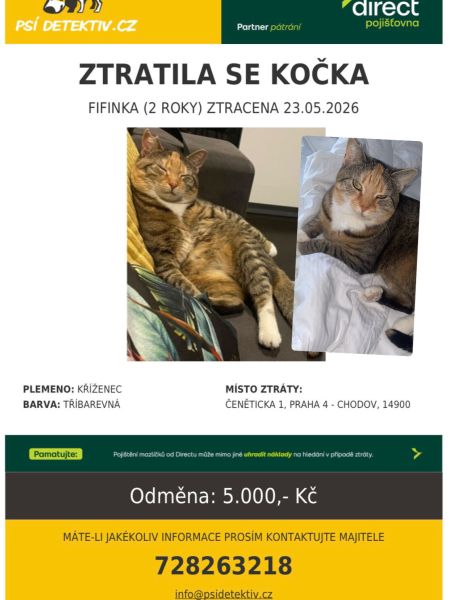Fifinka