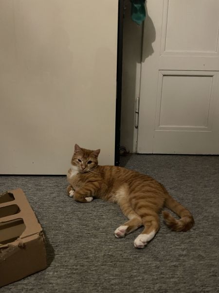 George