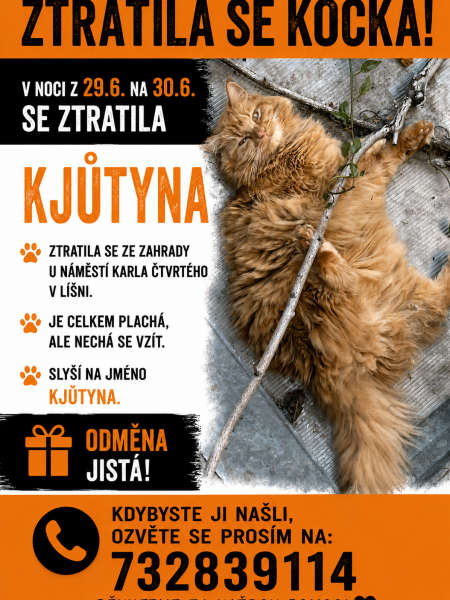 Kjutynka