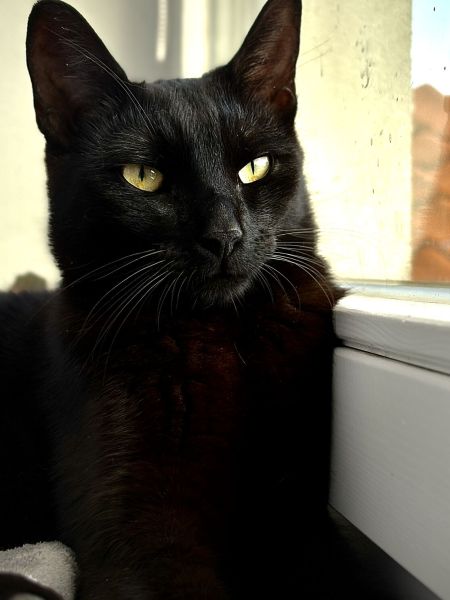 Monty
