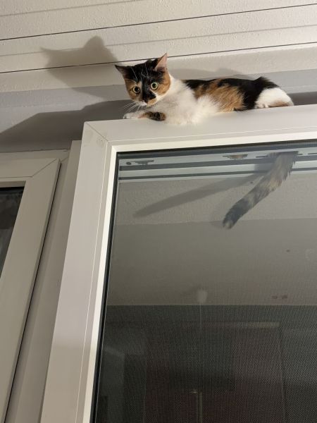 Milka