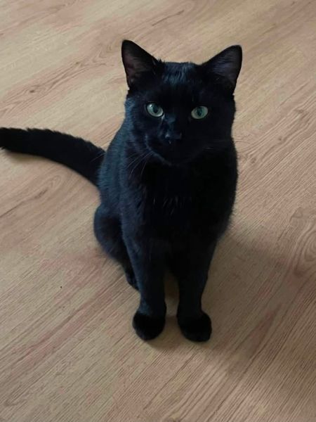 Nyx / Lolí