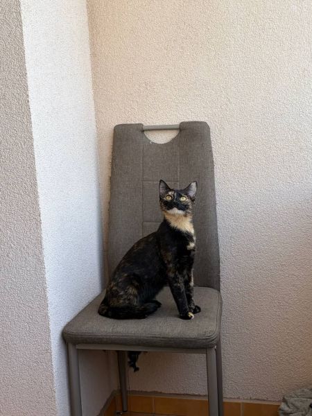 Yumi