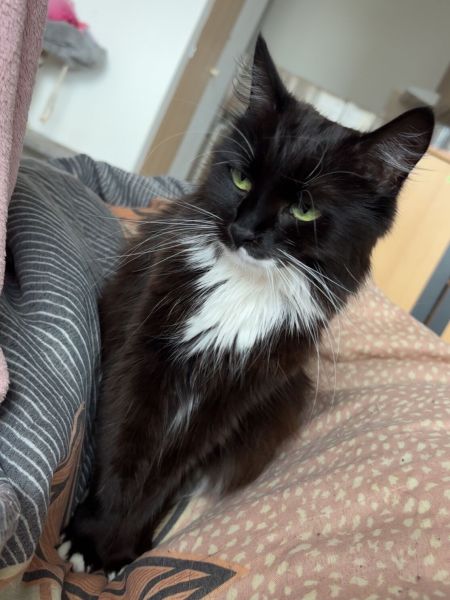 Chloe
