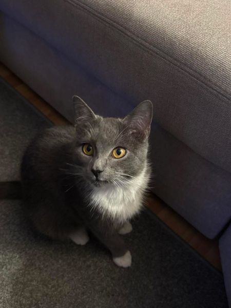 Monty