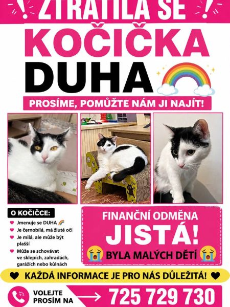 Duhovka