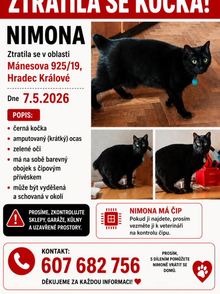 Nimona