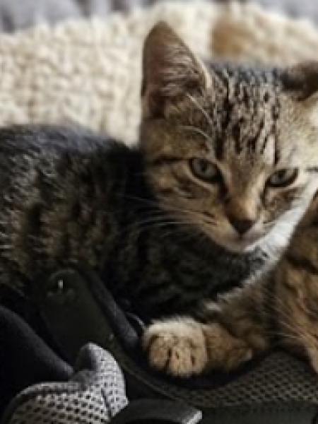 Hubert