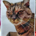 Micka · fotografie 1