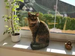 Micka · fotografie 2