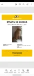 Kofi, Kofítko · fotografie 1