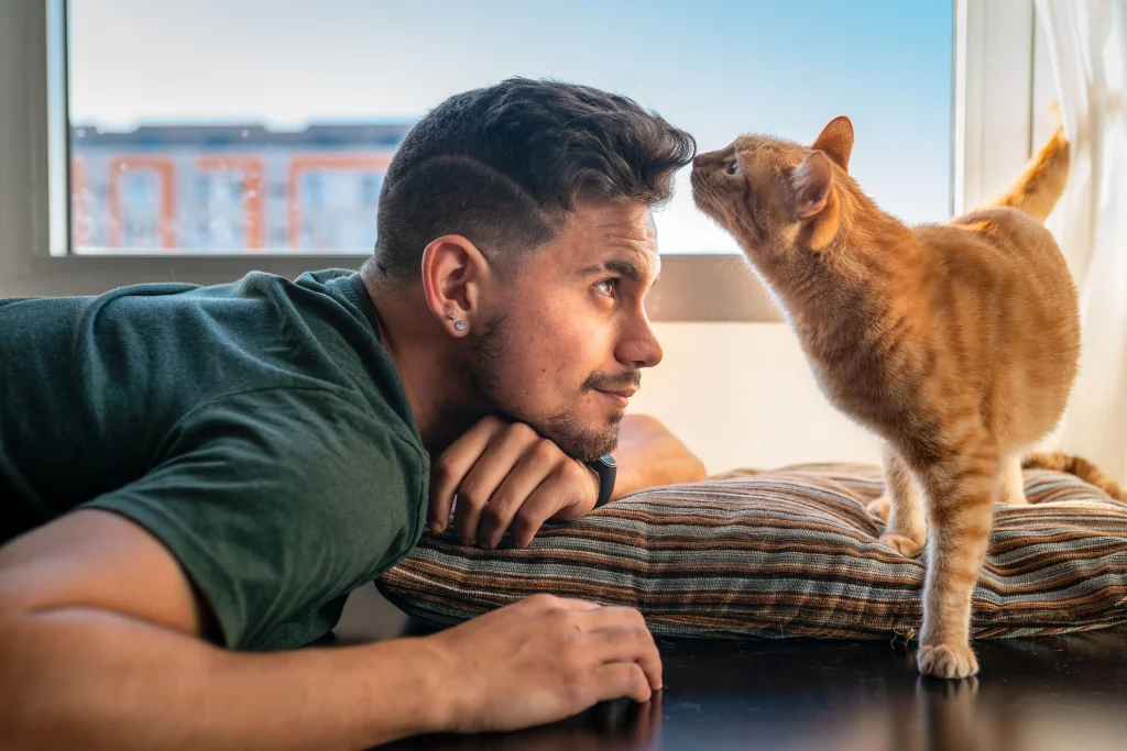 Jak kočky vnímají svět a jaký mají vztah k lidem ?