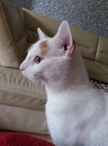 Egon