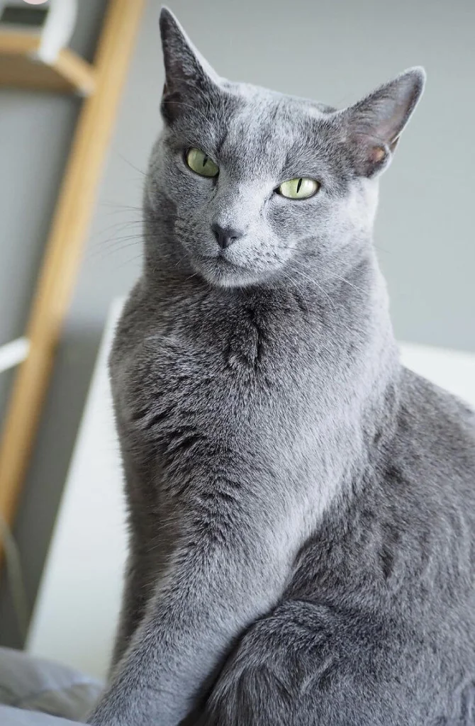 Bublík