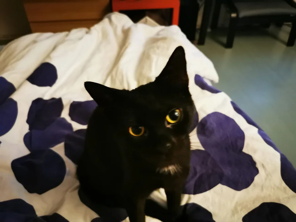 Mia