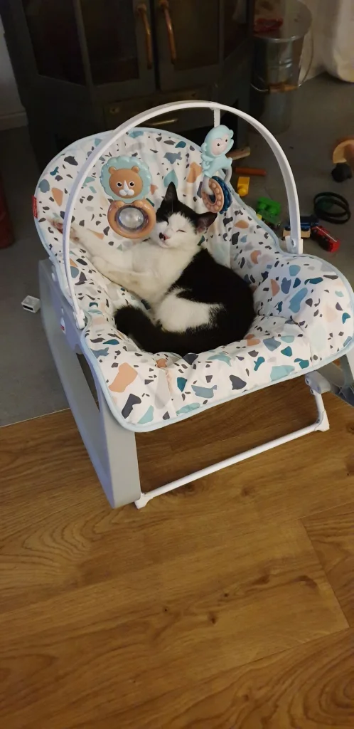 Fík