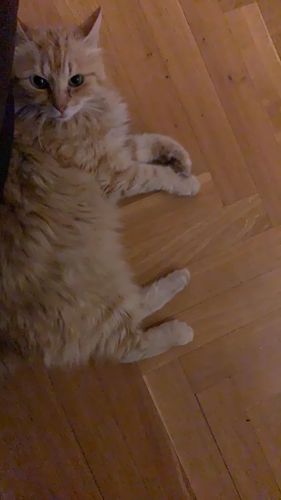 Karel