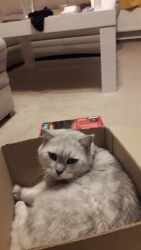 Maxík