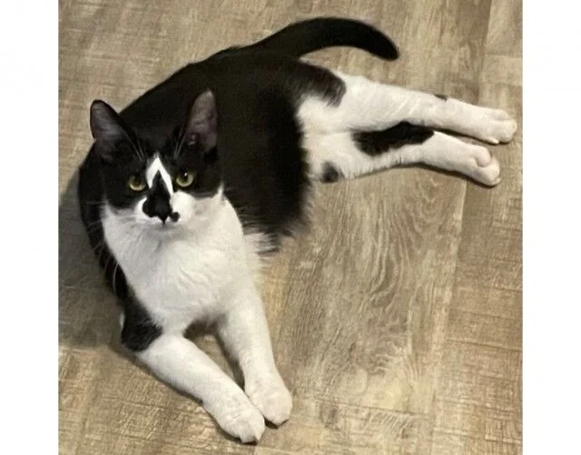 Charlie
