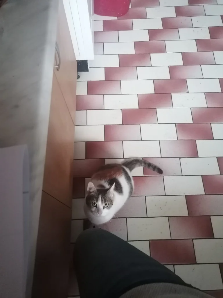 Mia