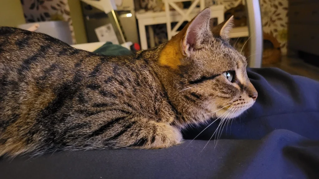 Tiska