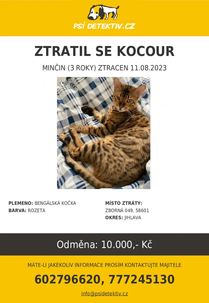 Minčin