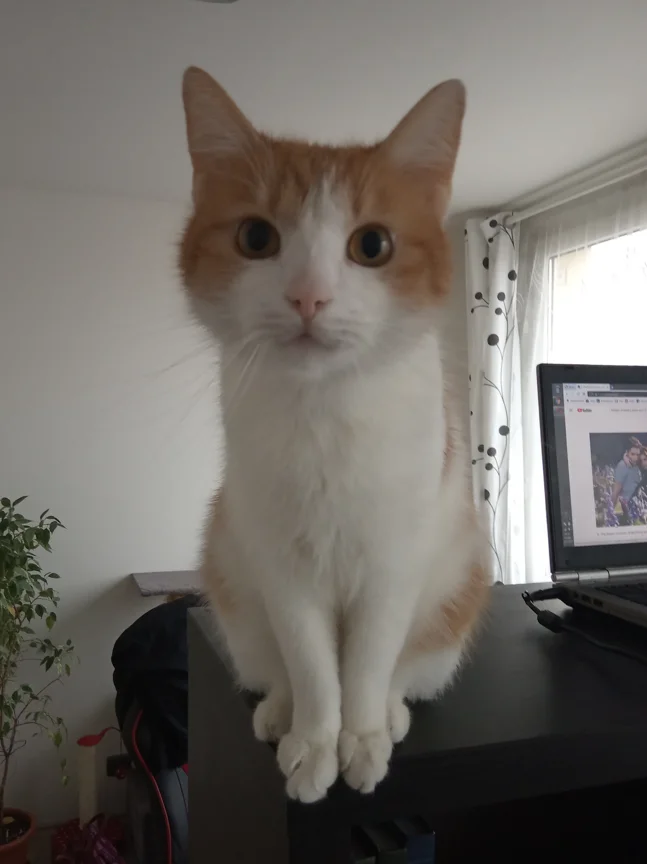 Lilian