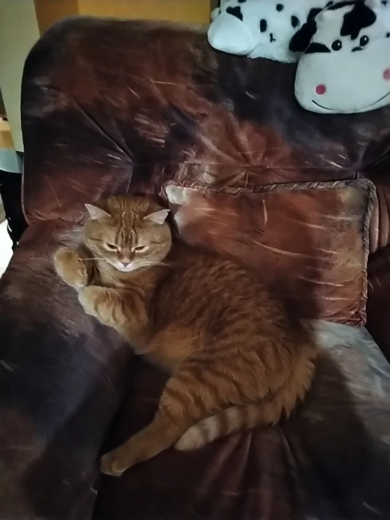 Matyáš
