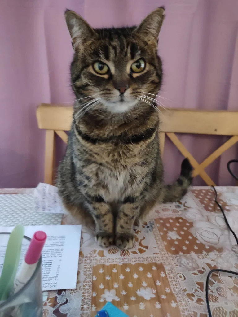 Pepina