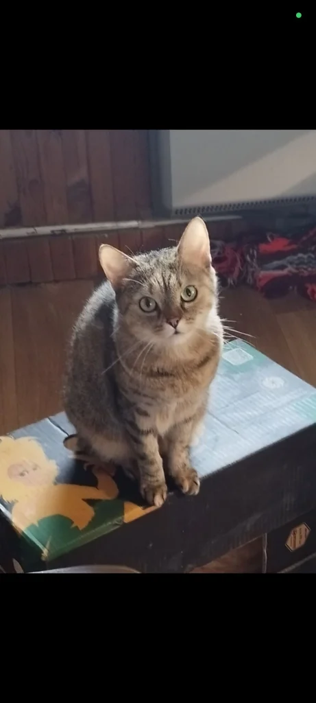 Mia