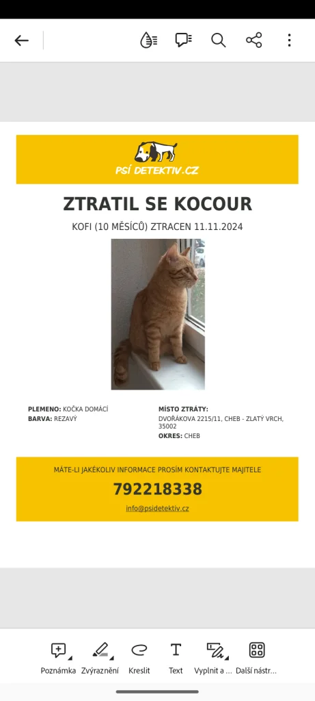 Kofi, Kofítko