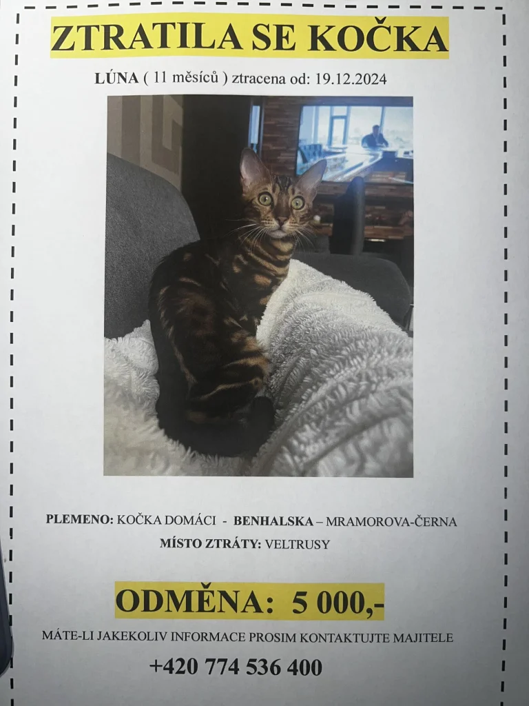 Podle pasu Mája, jinak Luna