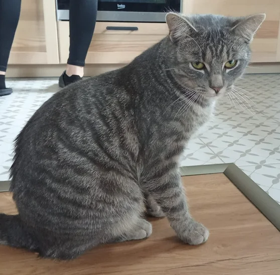 Šmůca