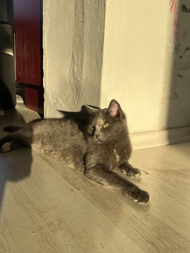 Jessie