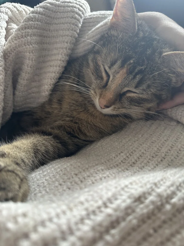 Freya