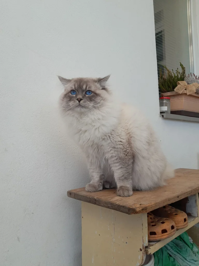 Charlie