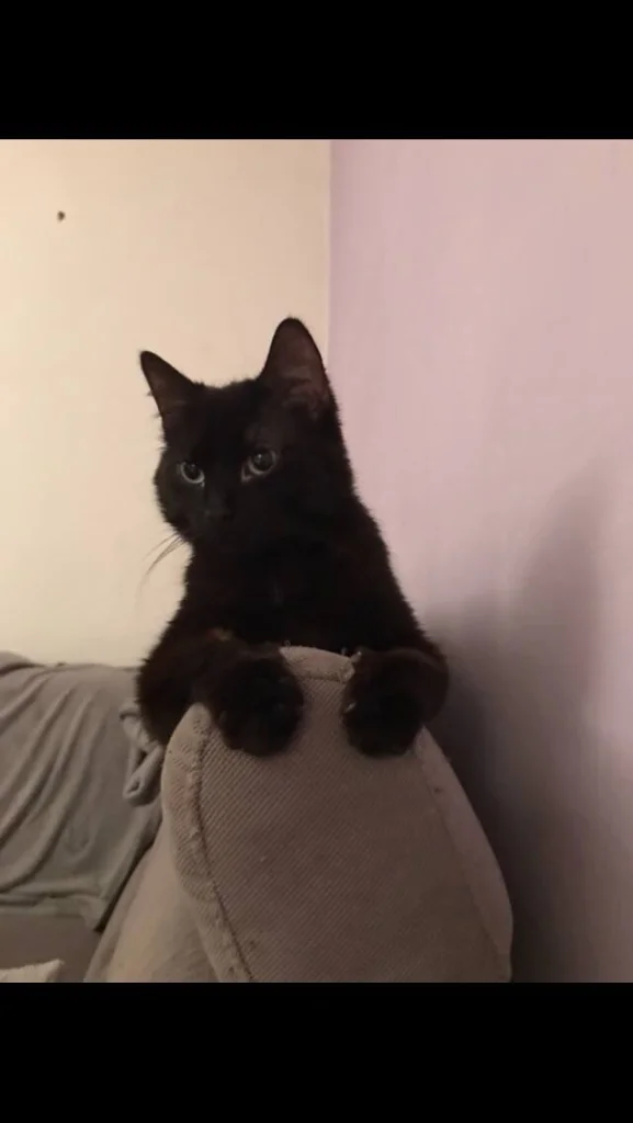 Lucifer (lucík)