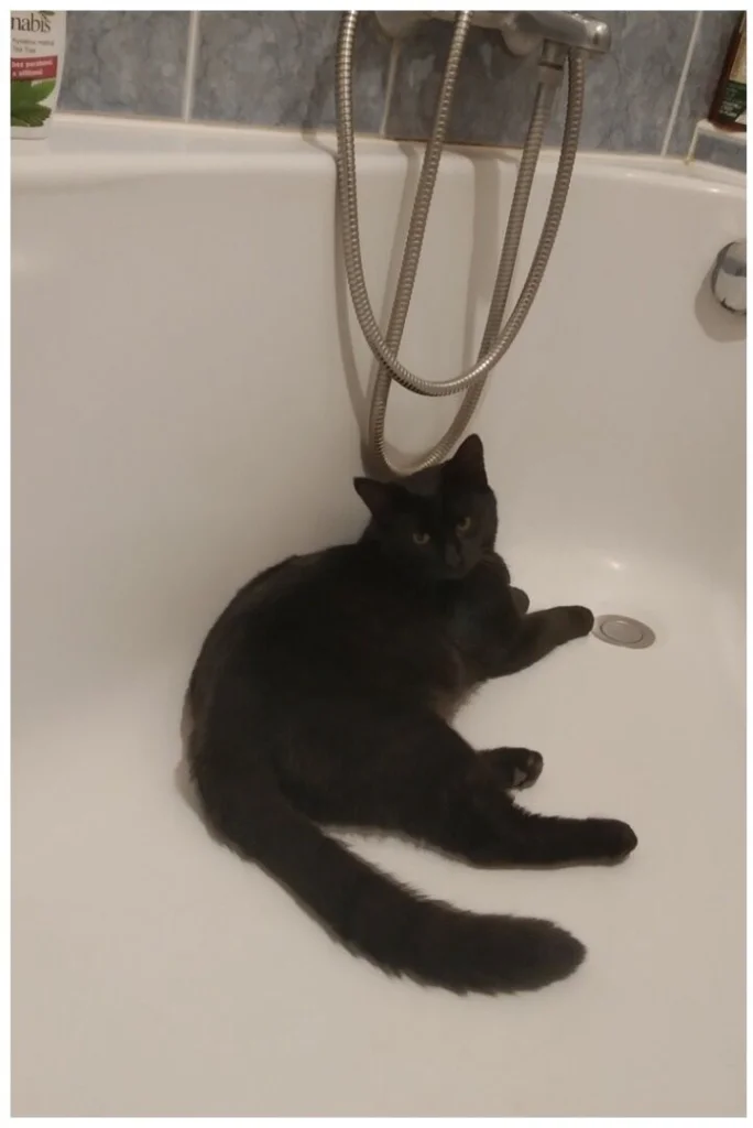Hubert