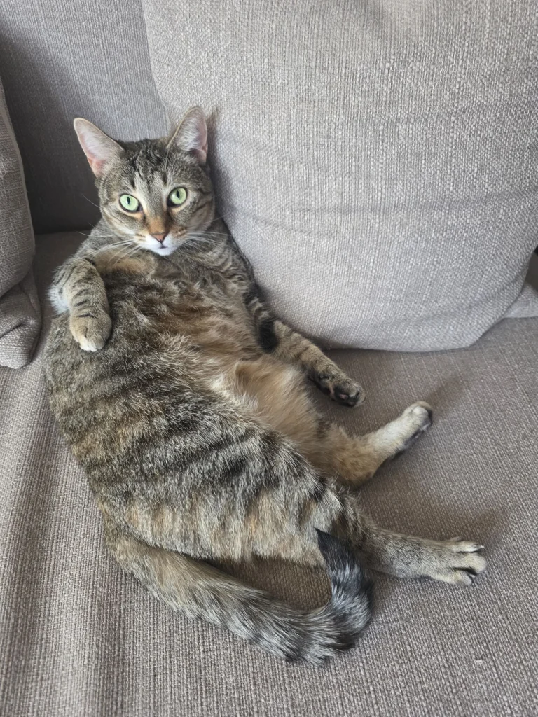 Gigi