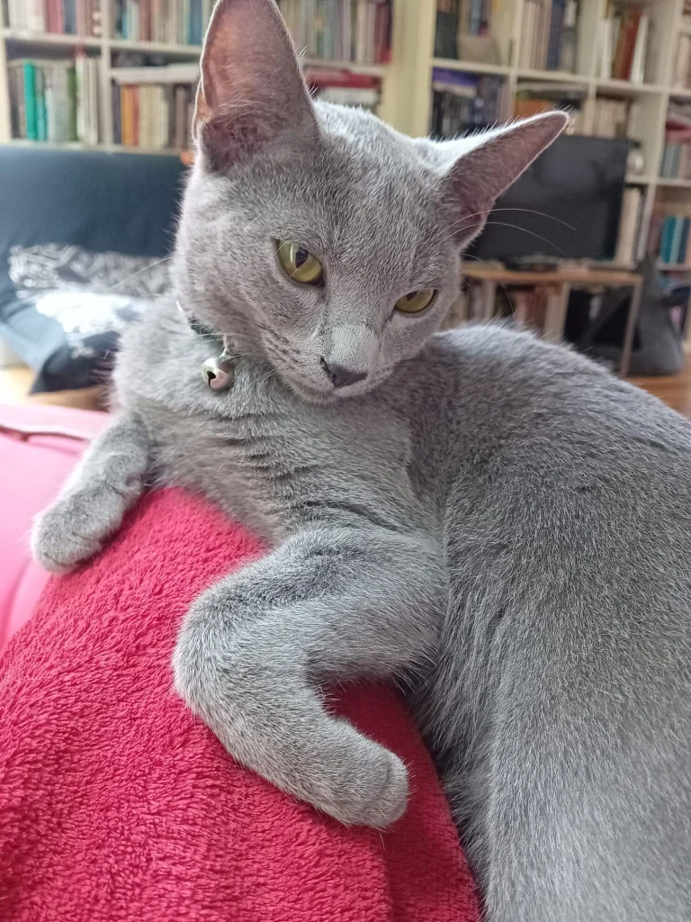 Tára