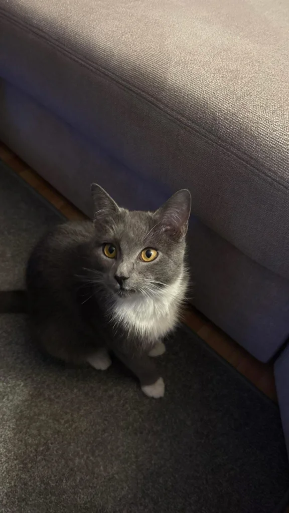 Monty