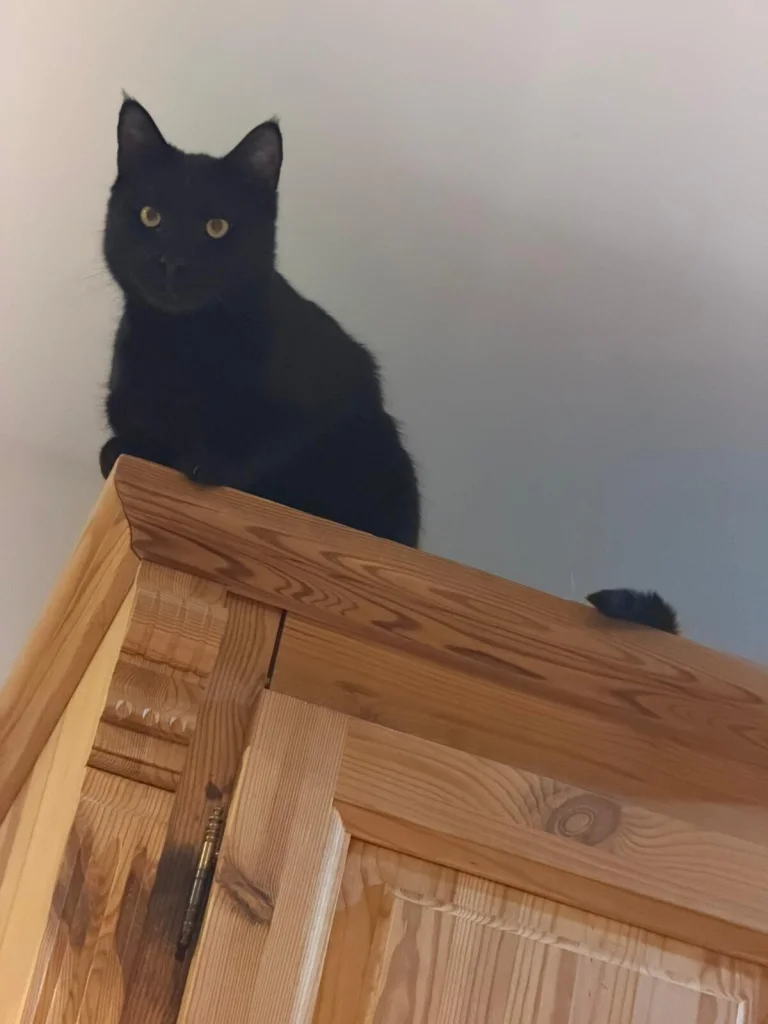 Lucifer