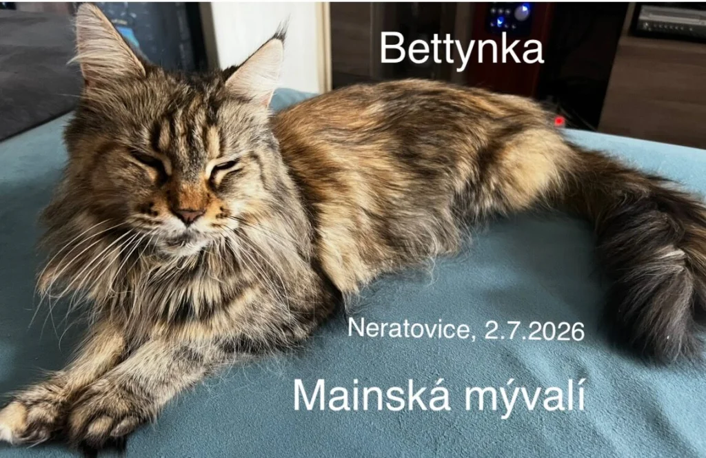 Bettynka