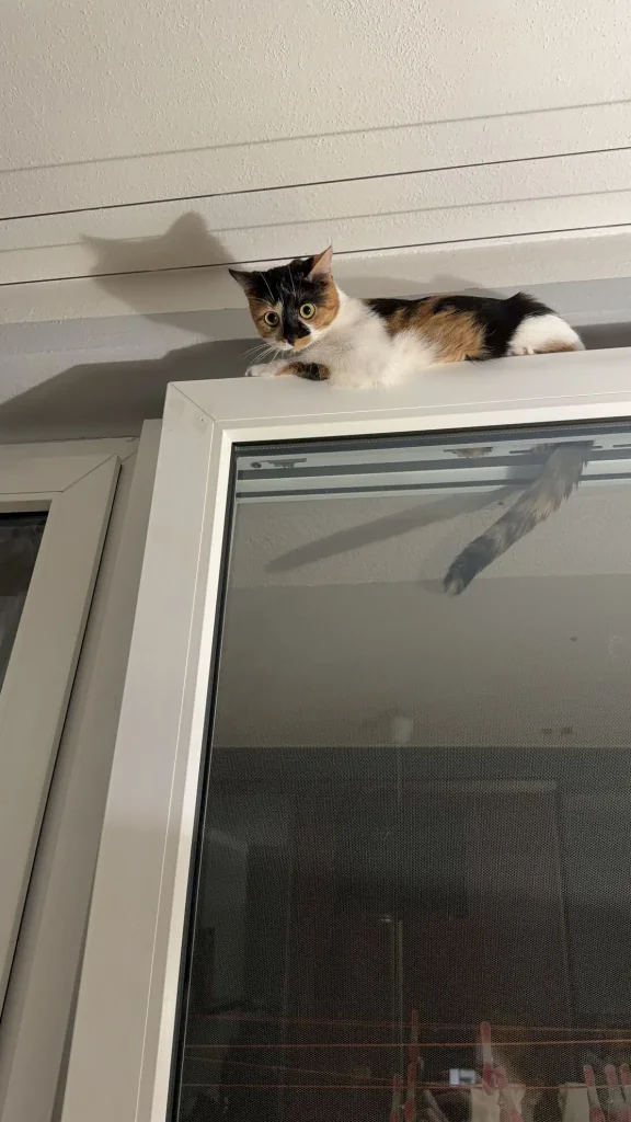 Milka