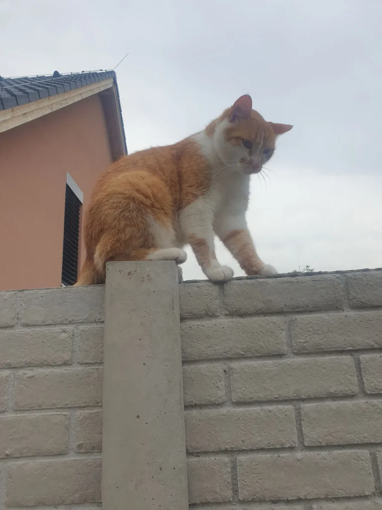Mikeš