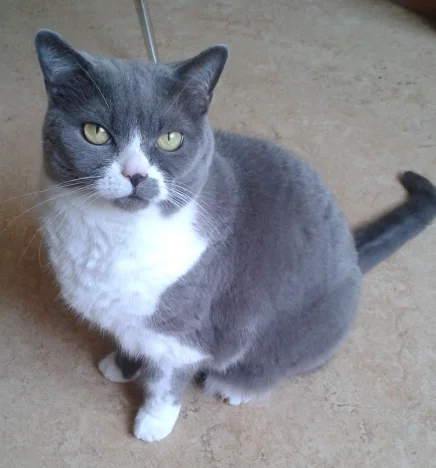 Betty