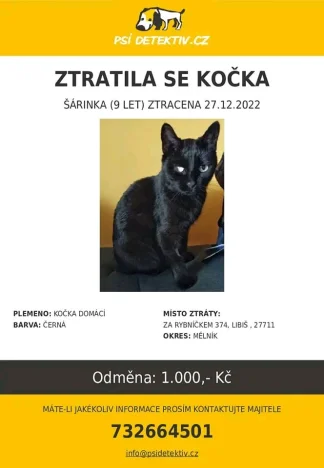 Šarik